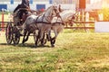 Chariot race with obstacles Royalty Free Stock Photo