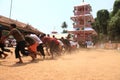 Chariots in temple festival