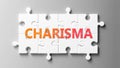 Charisma complex like a puzzle - pictured as word Charisma on a puzzle pieces to show that Charisma can be difficult and needs