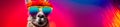 charismatic llama wearing oversized, vibrant sunglasses and striking a pose against a rainbow-colored backdrop