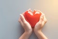 Charity Day symbol female hands hold a red heart tenderly