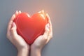 Charity Day symbol female hands hold a red heart tenderly