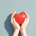 Charity Day symbol female hands hold a red heart tenderly