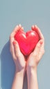 Charity Day symbol female hands hold a red heart tenderly