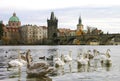 Charles Bridge, Prague Royalty Free Stock Photo