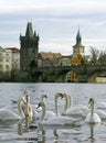 Charles Bridge, Prague, Czech Republic Royalty Free Stock Photo