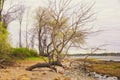 Charles Island Milford Connecticut Royalty Free Stock Photo