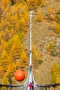 The Charles Kuonen suspension bridge, Randa, Switzerland Royalty Free Stock Photo