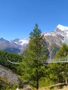 Charles Kuonen suspension bridge in Swiss Alps. With 494 metres, it is the longest suspension bridge in the world. Valais, Royalty Free Stock Photo
