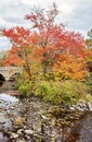 Charles River in Autumn