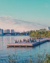 Boston in Summer | charles river esplanade Royalty Free Stock Photo