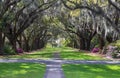 Charles Towne Landing South Carolina Historic Site Royalty Free Stock Photo