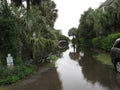 Charleston Beach path flooded