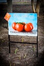 Charleston Farmers Market, Marion Park, Charleston, SC.