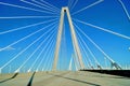 Charleston Ravenel bridge