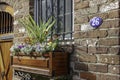 Colorful flowers in a wooden window box make an attractive streetside display in Charleston, SC.