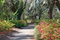 Charleston SC Hampton Park Walking Trail