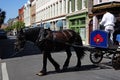 CHARLESTON,SC - USA - 04-19-2021: A guide gives a horse drawn carriage tour on King Street in Charleston SC