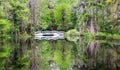 Charleston South Carolina Garden Bridge Reflection Royalty Free Stock Photo