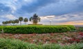 Charleston Waterfront Park Pineapple Fountain Royalty Free Stock Photo