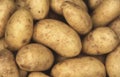 Charlotte potatoes background Royalty Free Stock Photo