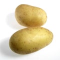 Charlotte Potatoes, solanum tuberosum, Vegetables against White Background Royalty Free Stock Photo