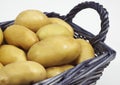 Charlotte Potatoes, solanum tuberosum, Vegetables against White Background Royalty Free Stock Photo