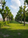 Charlottenburg Castle garden avenue Royalty Free Stock Photo