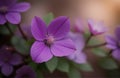 The charm of the beauty of purple flowers