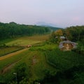 The charm of green nature on the side of the toll road