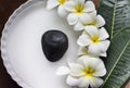 charm and harmonious white flowers plumeria or frangipani in white tray and water