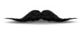 Charm mustaches for barbershop or Mustache Carnival. Mustache vintage facial, funny curly black mustache illustration