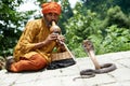 Charmer of snake in India Royalty Free Stock Photo