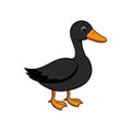 Charming African Black Duck Art Design Royalty Free Stock Photo