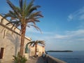 Stone harbour with sea view and palm trees in old city centre of Rab Croatia