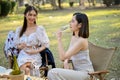 Charming Asian woman sipping wine, and celebrating a special moment with her friend in the park