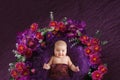 Charming baby in basket with flowers, purple background Royalty Free Stock Photo