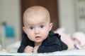 Portrait of a charming baby lying on its stomach. Family morning at home. Tummy time