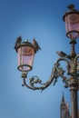 Charming birds perched on lamp post in Venice, Italy - simple and serene city scene