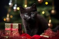 charming black kitten with gifts on the background of New Year\'s bokeh