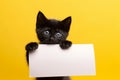 a charming black kitten holds in its paws a white sheet of paper with a place for text,on a plain yellow background,a mockup for
