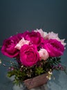A charming bouquet of beautiful roses of two flowers in a vase