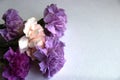 Charming bouquet of multi colored carnations in lilac tones on a gray background