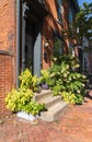 Harrisburg, PA - September 26, 2021 : Charming brick row houses with front stoops and hydrangea bush in bloom in autumn