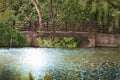 A charming bridge over Lake Marmo at the Morton Arboretum in Lisle, Illinois.