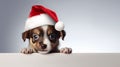 Charming Canine Christmas: A Festive Digital Banner with a Playf