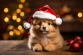Charming Canine with Festive Santa Hat. AI