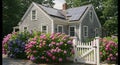 Charming Cape Cod Home with Hydrangeas and Solar Panels Royalty Free Stock Photo