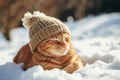Charming Cat With Ginger Fur And Cozy Hat Relaxing In Snowy Landscape, Depicting Pets As Beloved Family Members