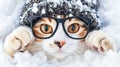 Charming cat in knitted winter outfit hat and sweater ensemble for a cute feline fashion statement